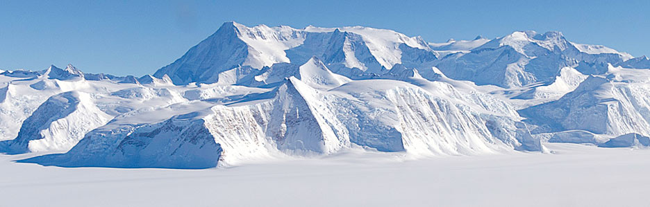 image of Vinson