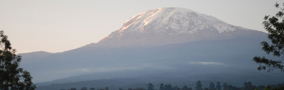 image of Kilimanjaro