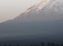 Kilimanjaro